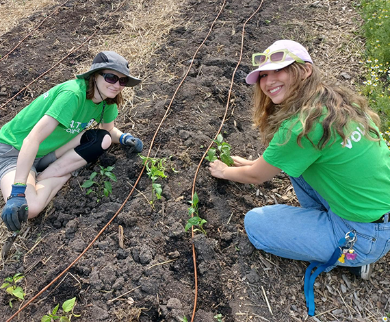 two women planting