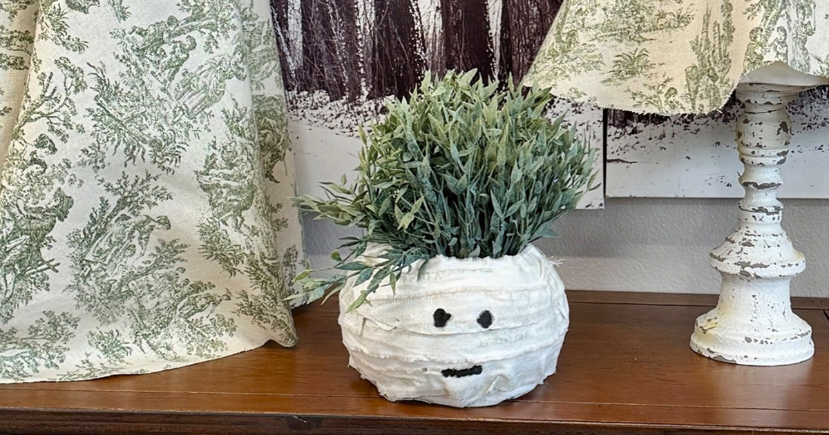 A DIY mummy planter