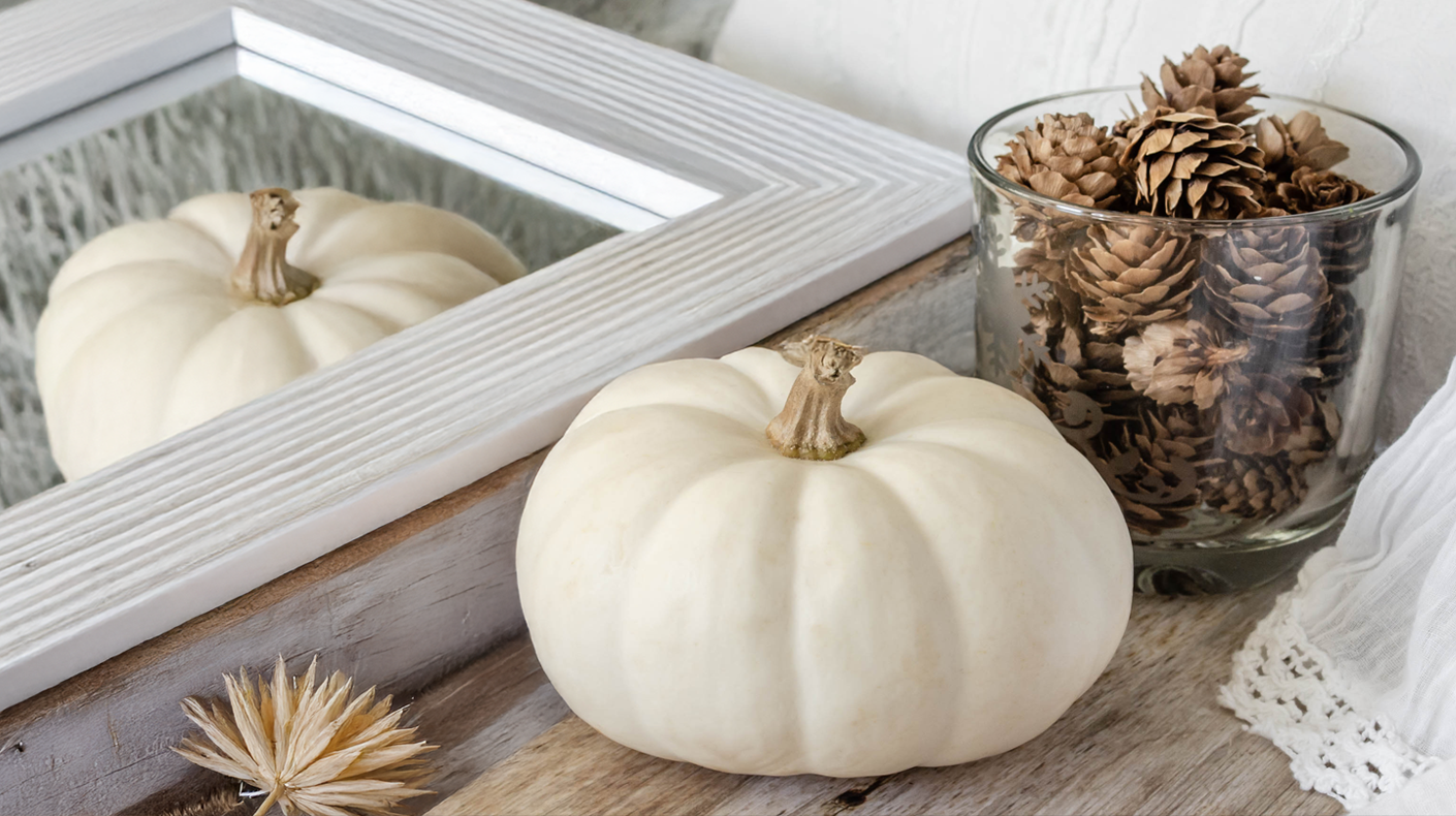White pumpkin in a setting with acorns