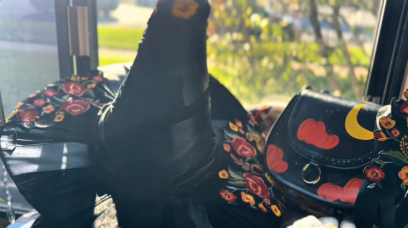 An embroidered witch hat and painted black leather purse